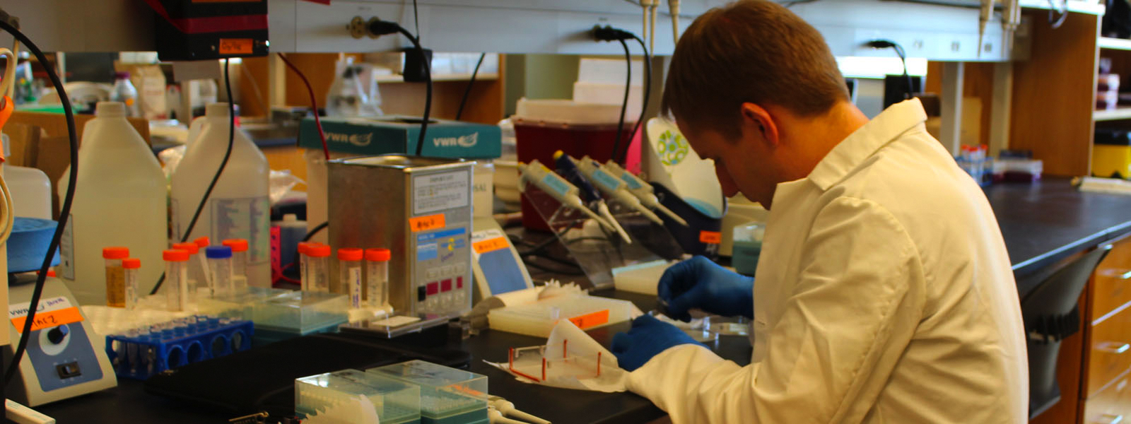UNM Biomedical Engineering Program