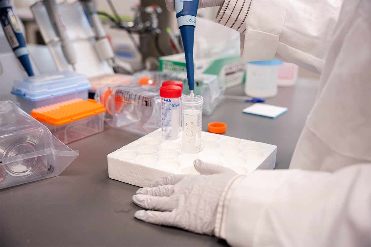 photo: Gloved hands of a lab member holding a pipette while working at their bench
